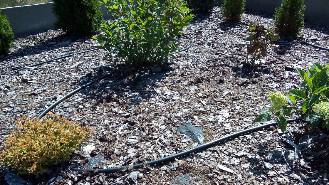 Nawadnianie rabat w ogrodzie – jak wykonać je samodzielnie?