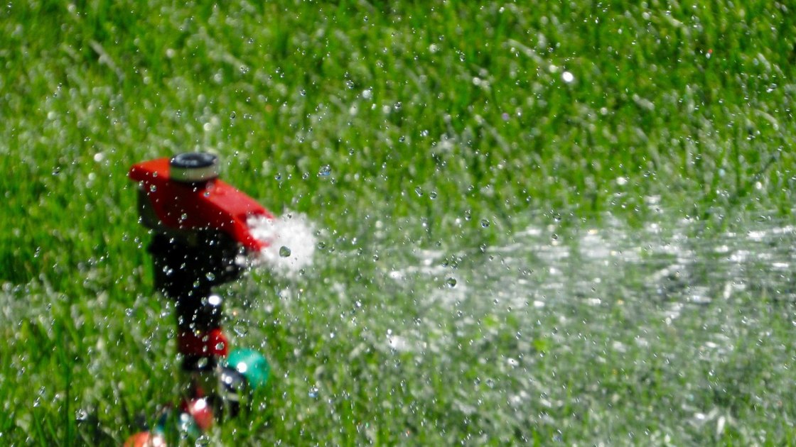 Automatyczne nawadnianie trawnika – jak wykonać samodzielnie krok po kroku